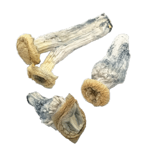 OS - Exotic - GHOST 1/8oz (Magic Mushrooms)
