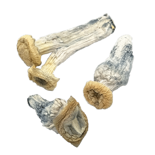 OS - Exotic - GHOST 1/8oz (Magic Mushrooms)