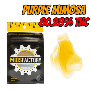 MIDSFACTORY - Purple Mimosa Shatter 1gram (Sativa)