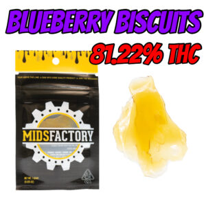 MIDSFACTORY - Blueberry Biscuits Shatter 1gram (Indica)