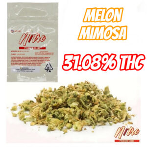 Nitro - Melon Mimosa Infused Shake 1oz (Sativa)