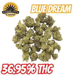 GSC - Blue Dream 1/2oz (Sativa)