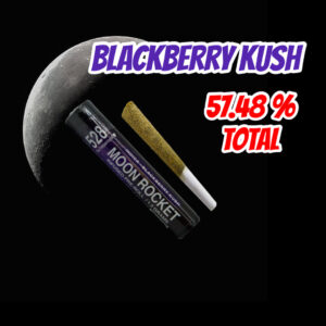 528 - Blackberry Kush Infused Moon Rocket 1.2g (Indica)