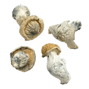 OS - ICE 1/8oz (Magic Mushrooms)