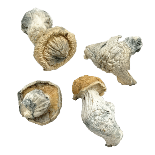 OS - ICE 1/8oz (Magic Mushrooms)