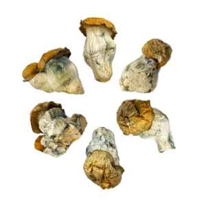 OS - Exotic - Baby Apes 1/8oz (Magic Mushrooms)