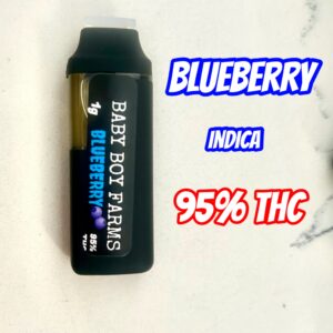 BBF - Blueberry AIO (Indica)