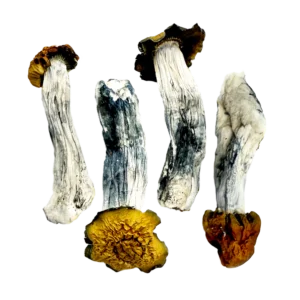 OS - Purple Mystic 1/8oz (Magic Mushrooms)