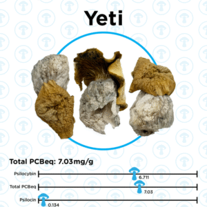 OS - Yeti 1/8oz (Magic Mushrooms)
