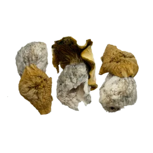 OS - Yeti 1/8oz (Magic Mushrooms)
