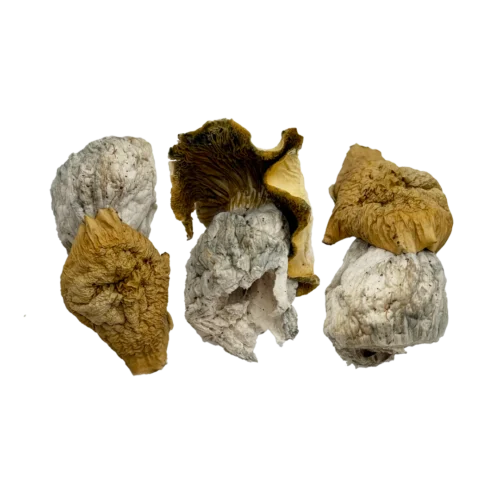 OS - Yeti 1/8oz (Magic Mushrooms)