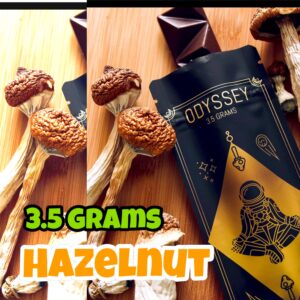 Odyssey - Hazelnut Chocolate Mushroom Bar 3.5 grams