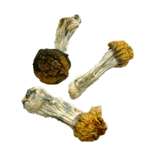 OS - Bluie Vuitton 1/8oz (Magic Mushrooms)