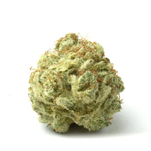 Cannabis