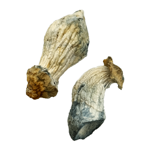OS - Shakti 1/8oz (Magic Mushrooms)
