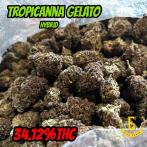 Candyland 1oz (Sativa)