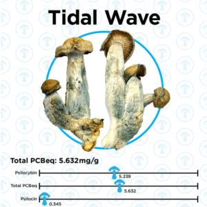 OS - Tidal Wave 1/8oz (Magic Mushrooms)