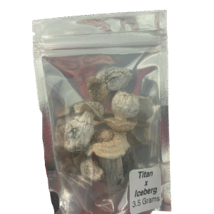 Odyssey - Titan x Iceberg 1/8oz (Magic Mushrooms)