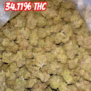 Gelato #41 1/2 oz (Indica)