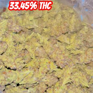 Gary Payton 1/2 oz (Hybrid)