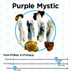 OS – Purple Mystic 1/8oz (Magic Mushrooms)