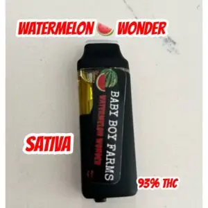 BBF Watermelon Wonder AIO (Sativa) 1 gram
