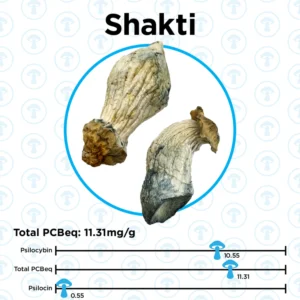 OS - Shakti 1/8oz (Magic Mushrooms)